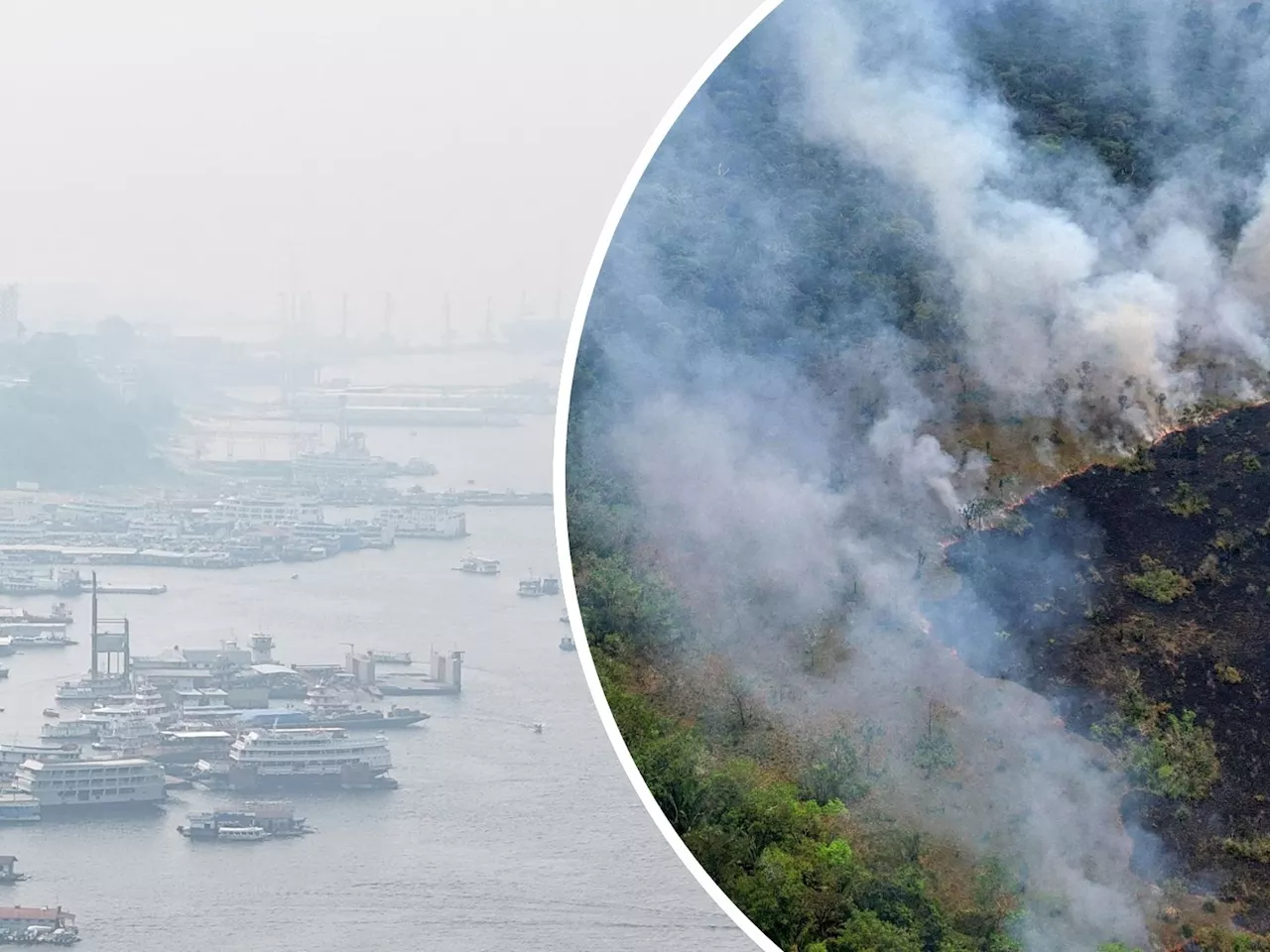 Feuer im Amazonas - Schwerste Brände seit 20 Jahren