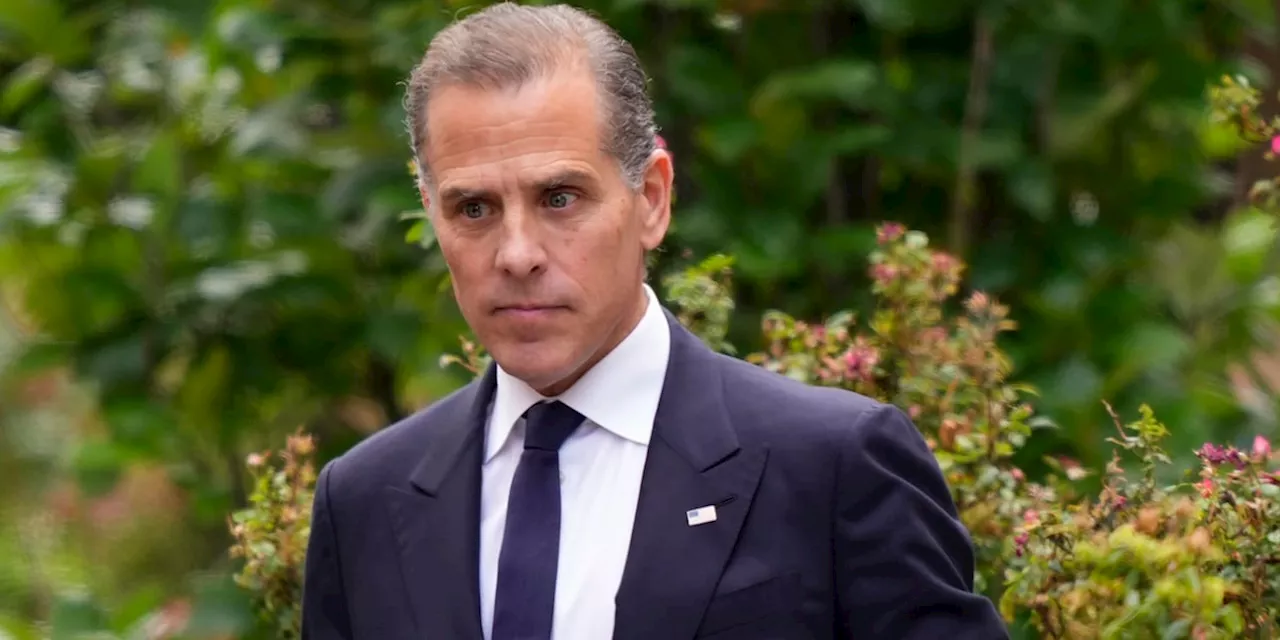 Hunter Biden enters surprise guilty plea to avoid tax trial months after his gun conviction