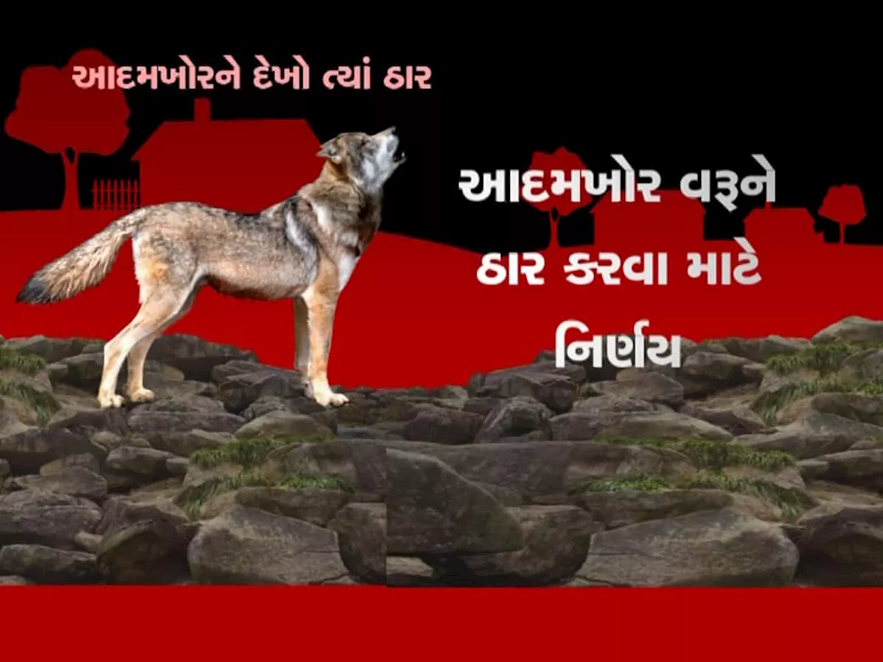 માનવભક્ષી વરૂઓના આતંક પર યોગી સરકારે લીધો મોટો નિર્ણય, બનાવાયો માસ્ટર પ્લાન