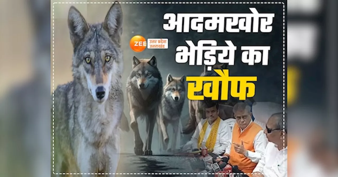 Bahraich Wolf Attack: भेड़‍ियों के खौफ के बीच बहराइच में कैसे रातें काट रहे लोग, डरा देगी ग्राउंड रिपोर्ट