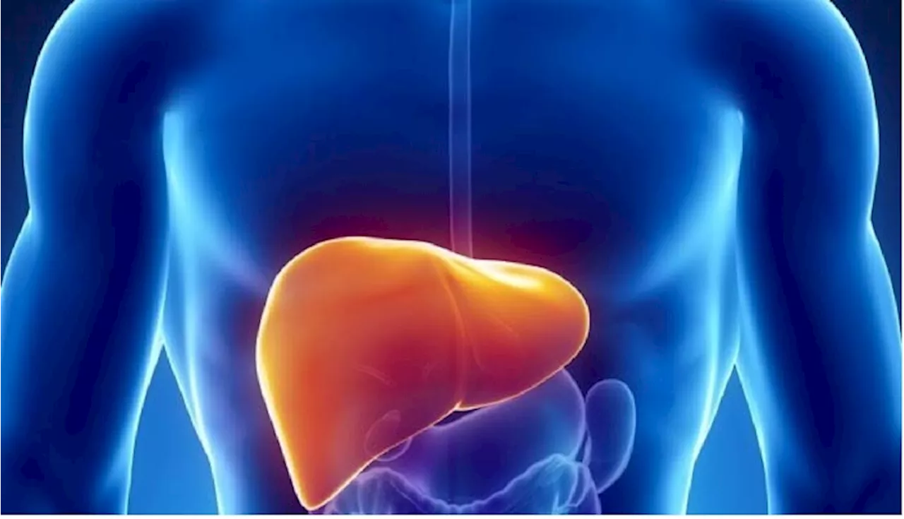 Fatty Liver Tips: ఫ్యాటీ లివర్ సమస్య ఉంటే ఈ 4 పండ్లు అస్సలు తినకూడదు