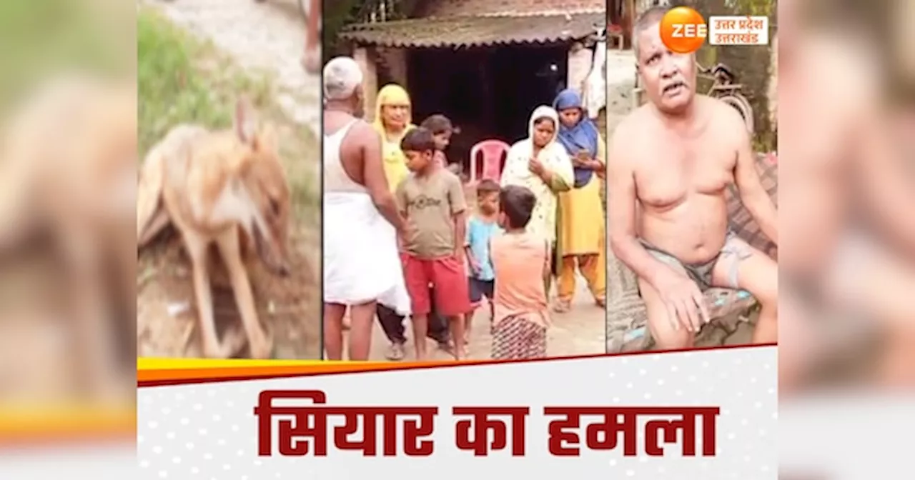 Gonda News: गोंडा में सियार ने मचाया गदर, खेतों में निकले शख्स पर किया हमला तो पीट-पीट कर मार डाला