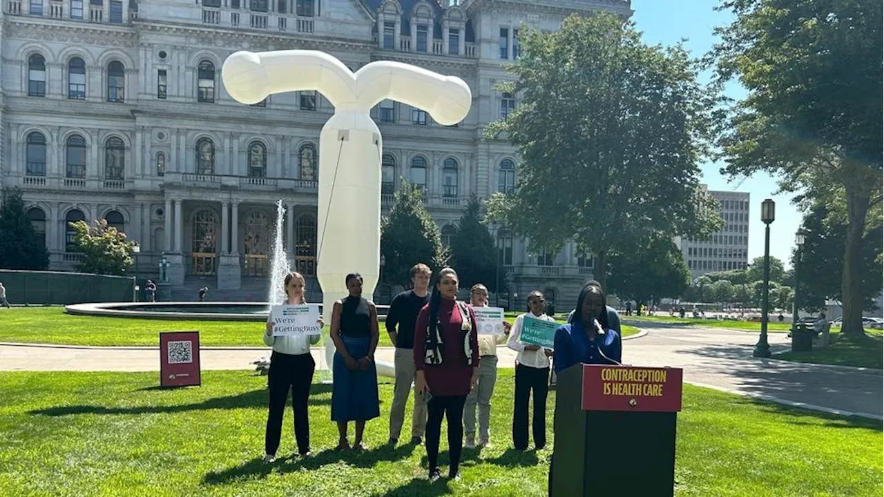 20-foot birth control display in Albany raises awareness about contraception