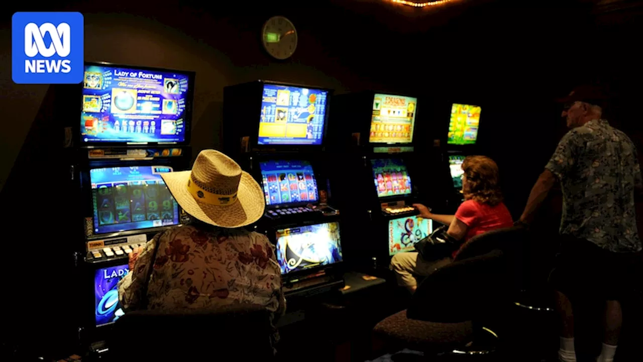 Minns government's long-awaited cashless gaming trial has just 32 'active' users