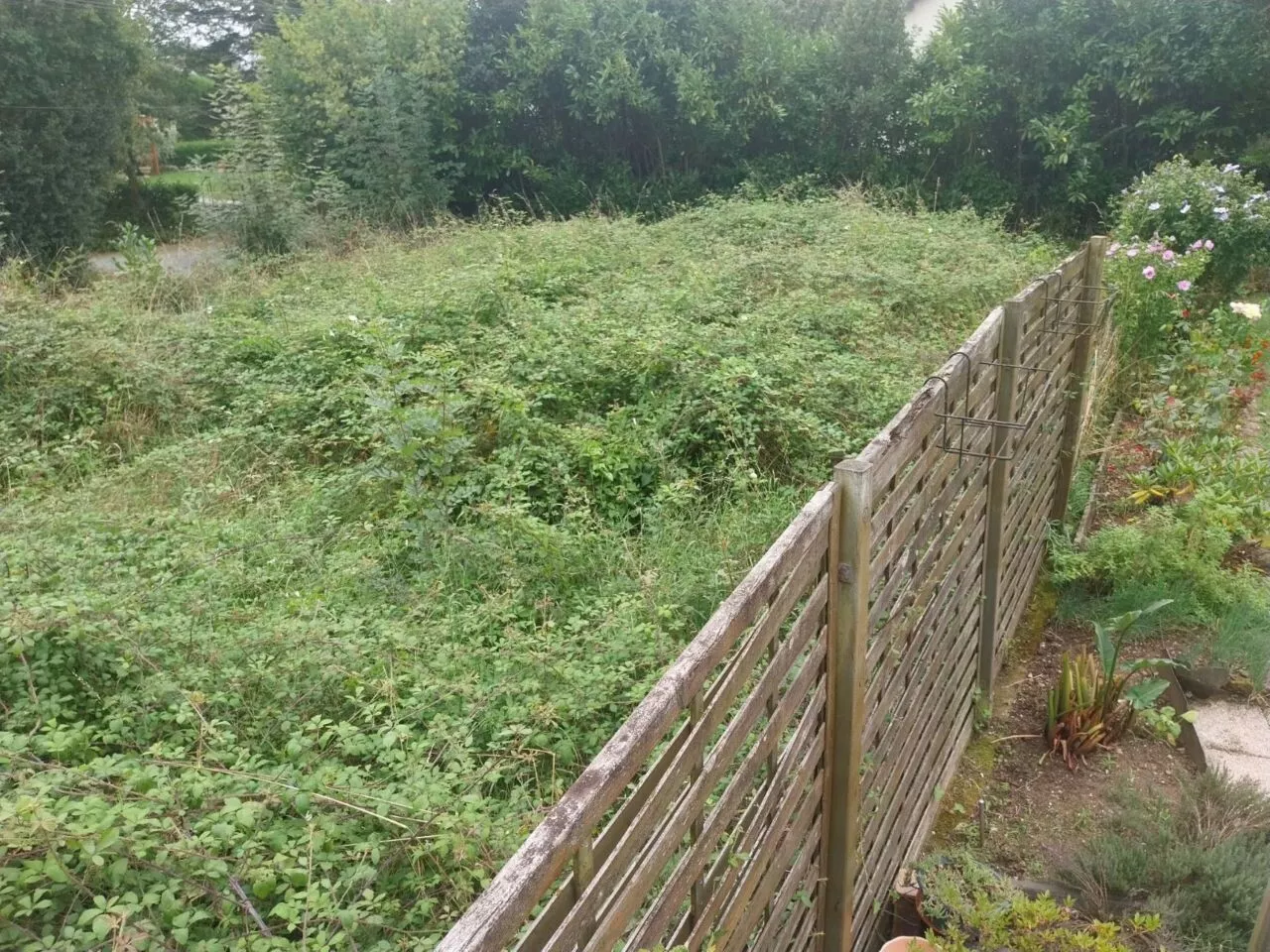 Loire-Atlantique : la colère d'un couple, qui vit à côté d’une maison abandonnée