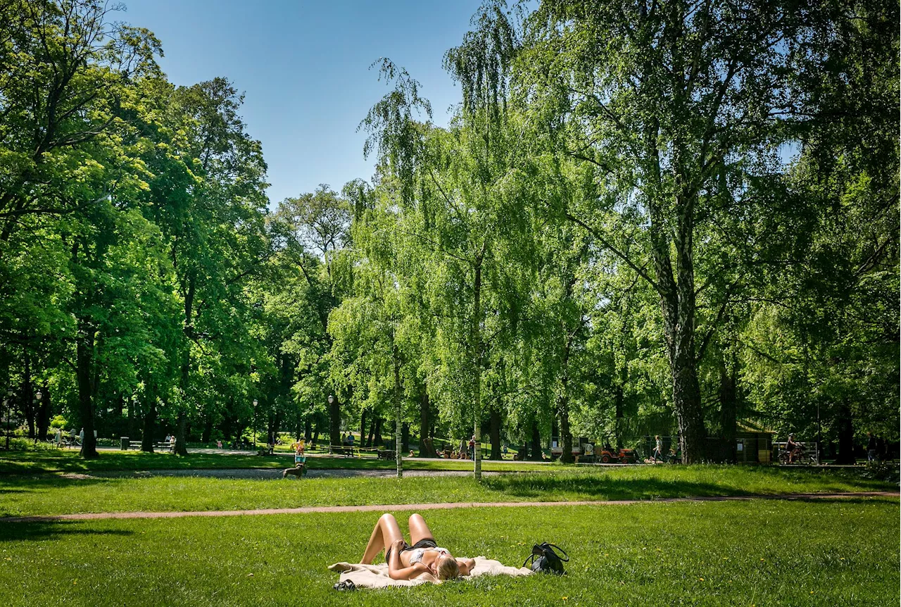 Slår dystre varmerekorder