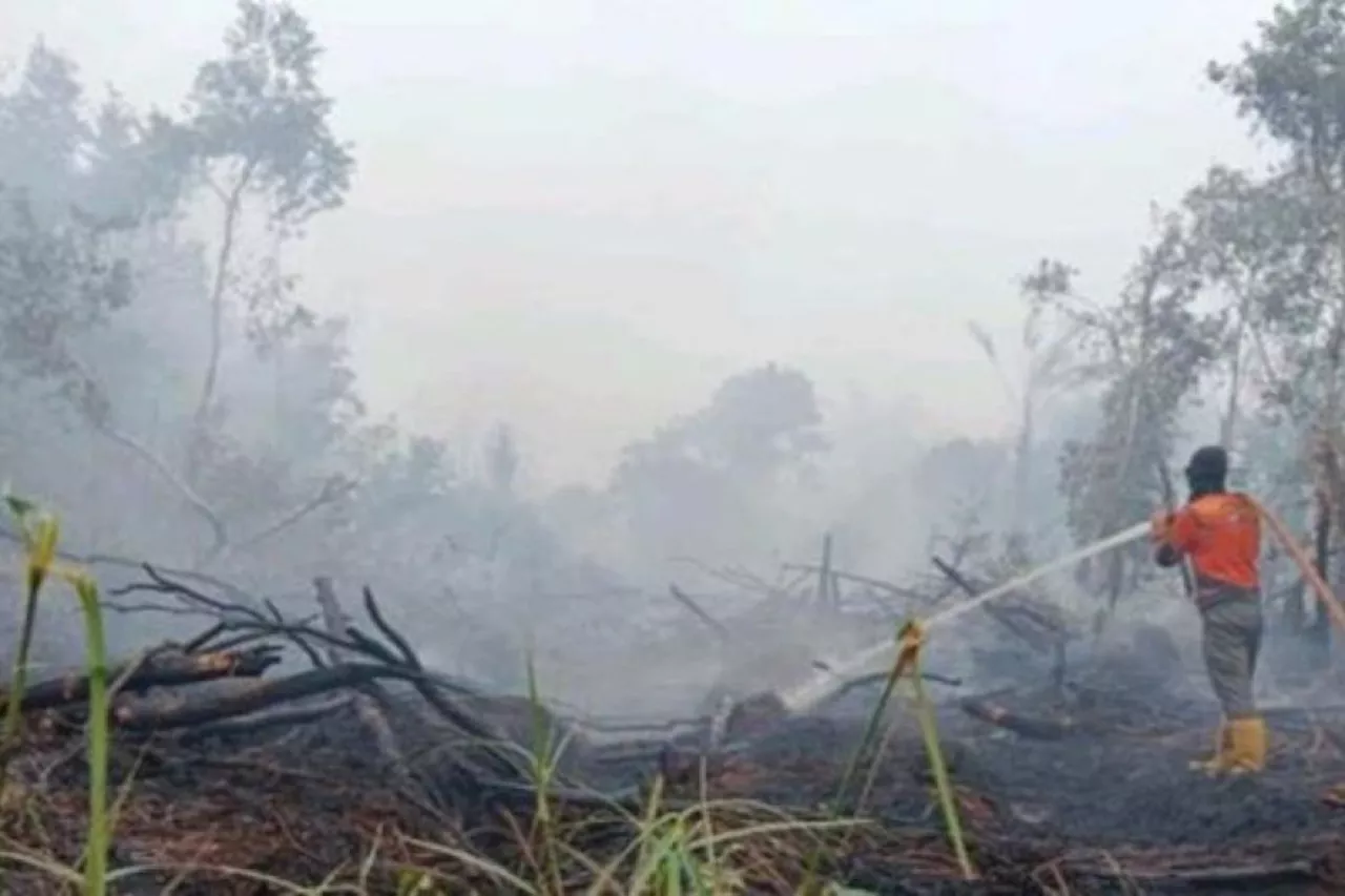 BPBD: Karhutla di Sungai Rotan Muara Enim mencapai 53 hektare