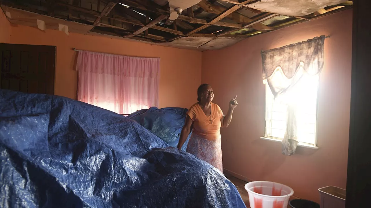 Jamaica's female farmers rebuild after Hurricane Beryl through women-led cash voucher program