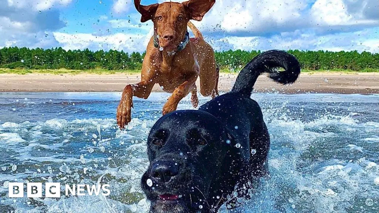 Your pictures of Scotland: Photographs from around the country