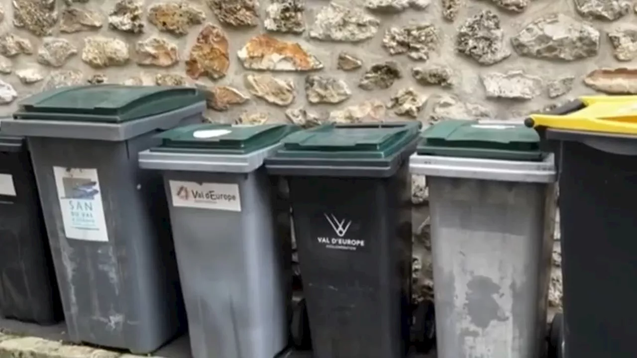 Seine-et-Marne: des puces électroniques sur les poubelles pour mieux organiser les collectes