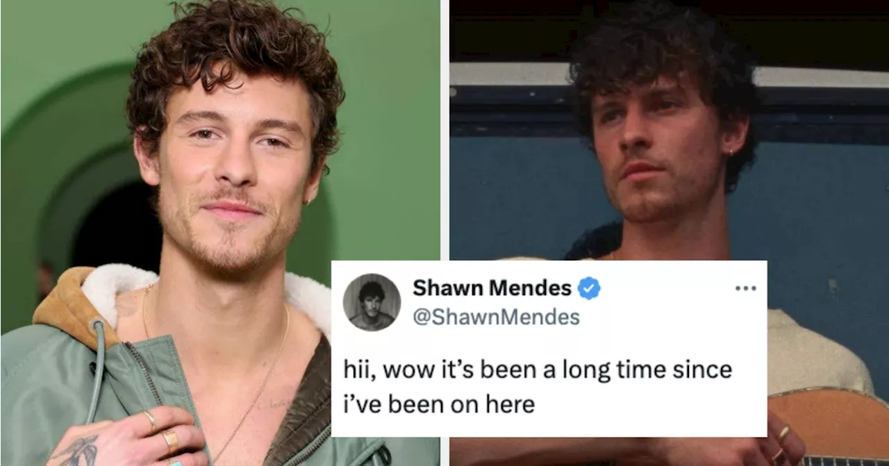 Shawn Mendes' Smoldering Twitter Comeback