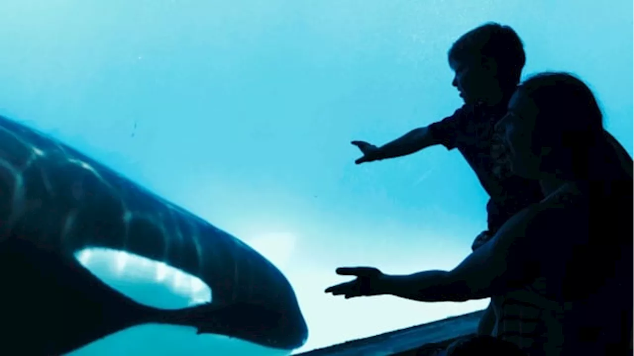 Marineland owner Marie Holer dies — unclear who will now lead controversial park