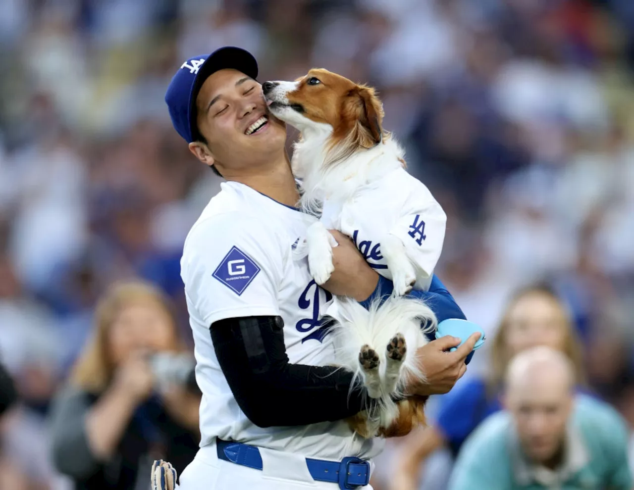 Guardians, Los Angeles Dodgers series preview, pitching matchups