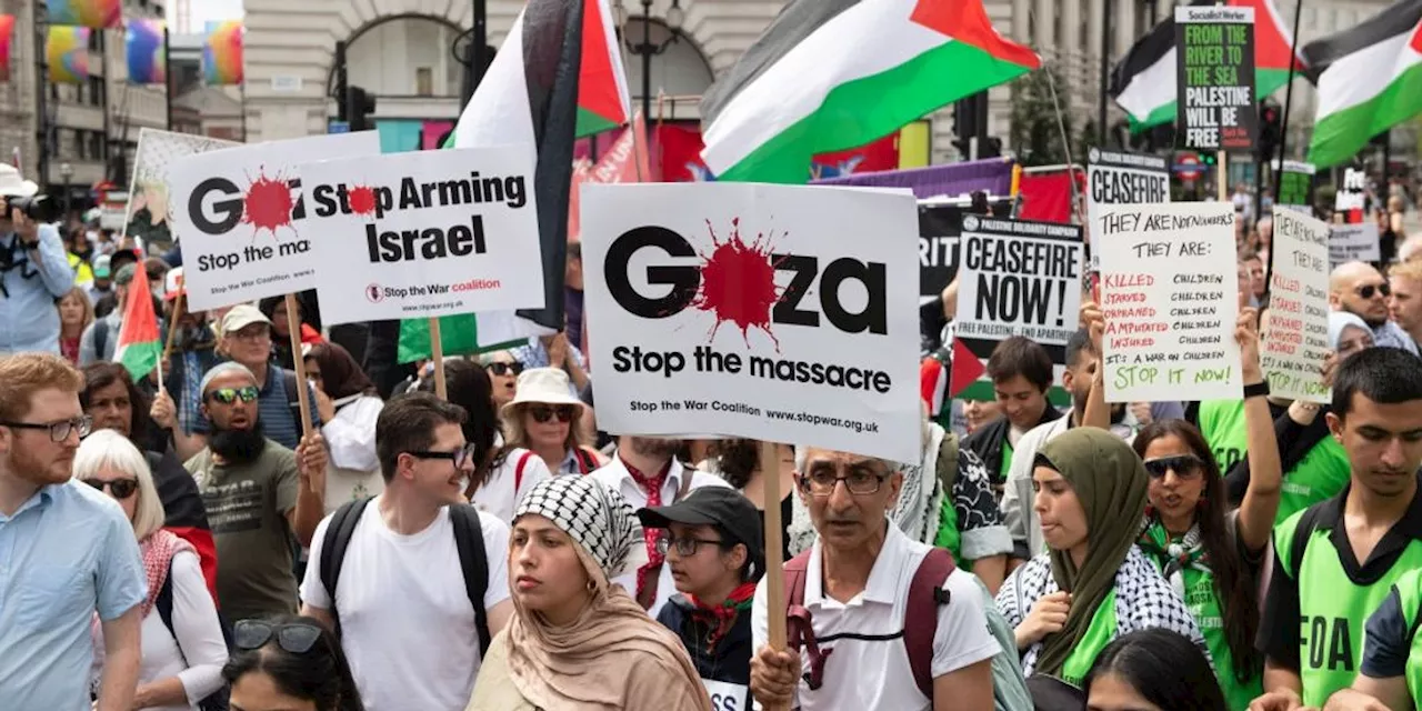 'Admission of Guilt': UK Suspends Some Arms Export Licenses to Israel Over Gaza