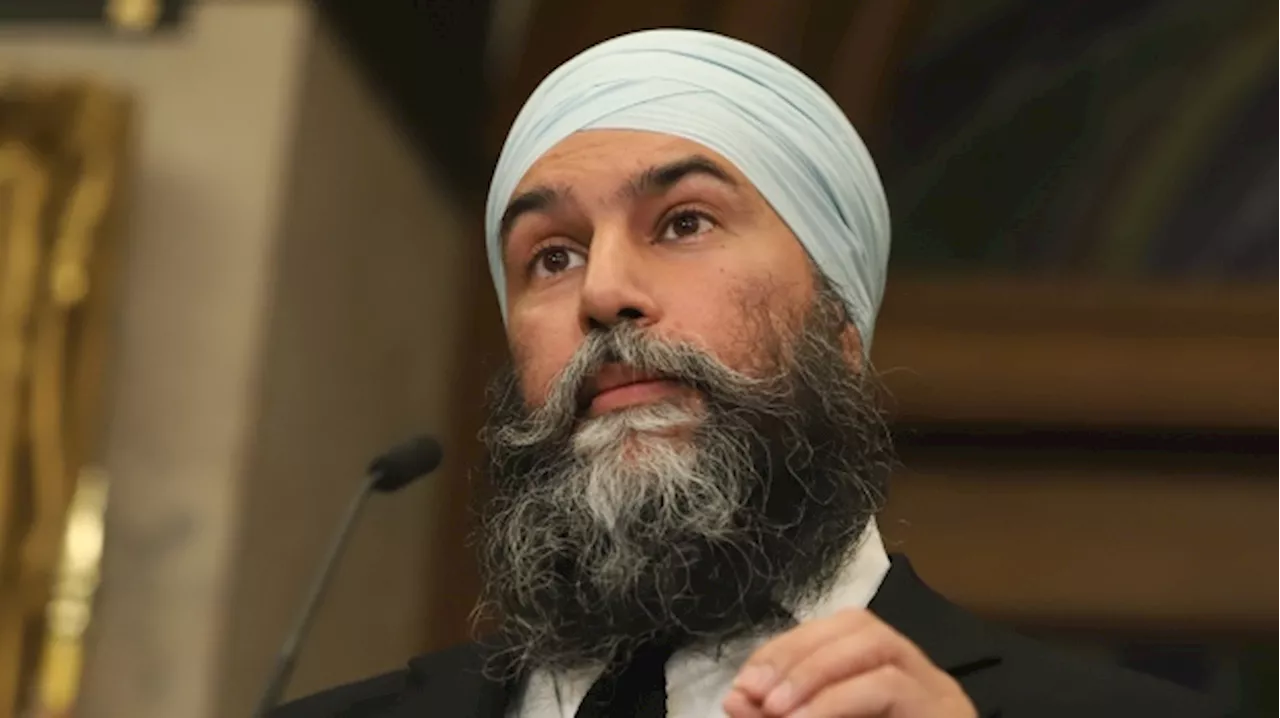 NDP used stock video from Russia after criticizing Conservatives for it