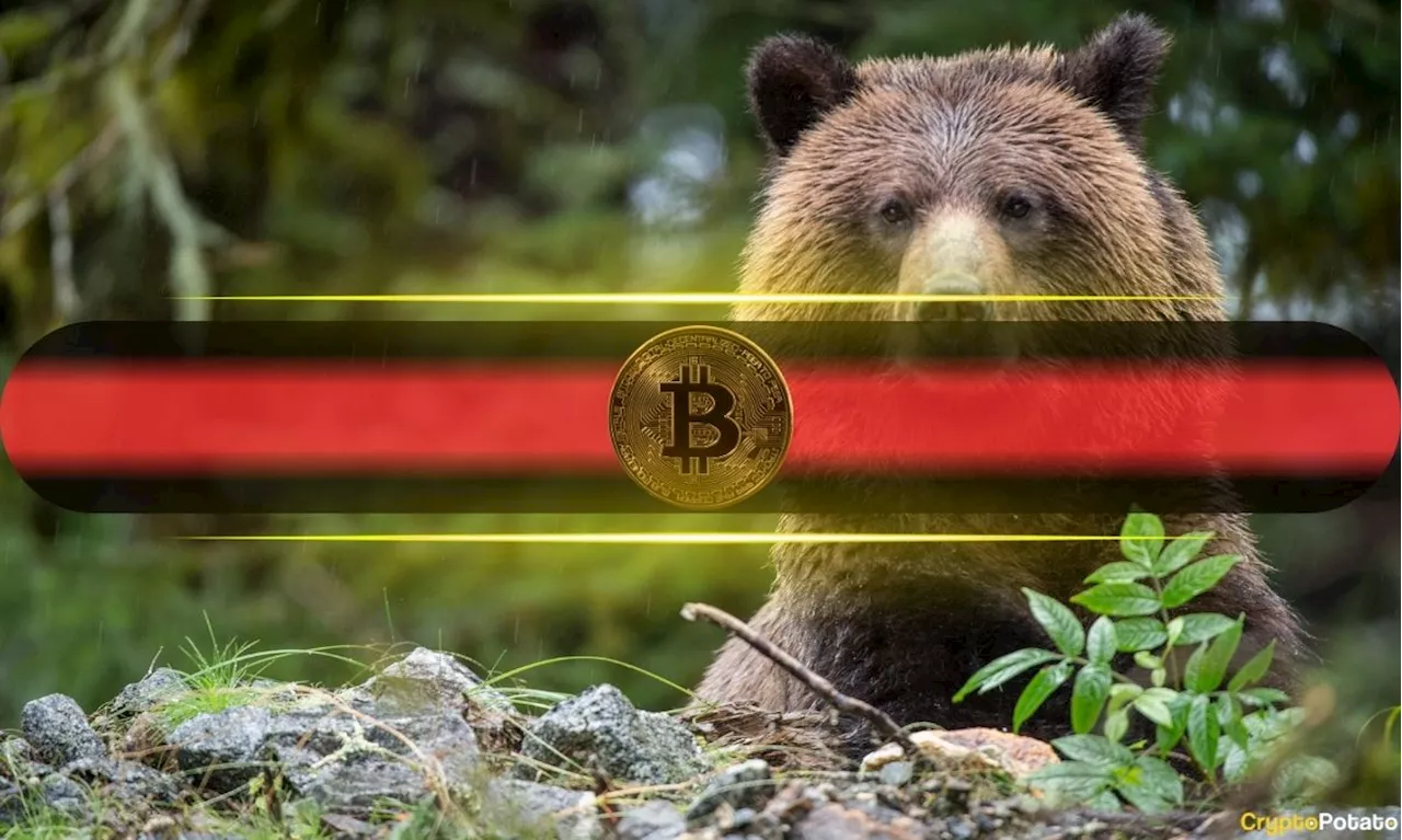 Attack of The Bears: Analysts Paint Bleak Short-Term Bitcoin Price Predictions