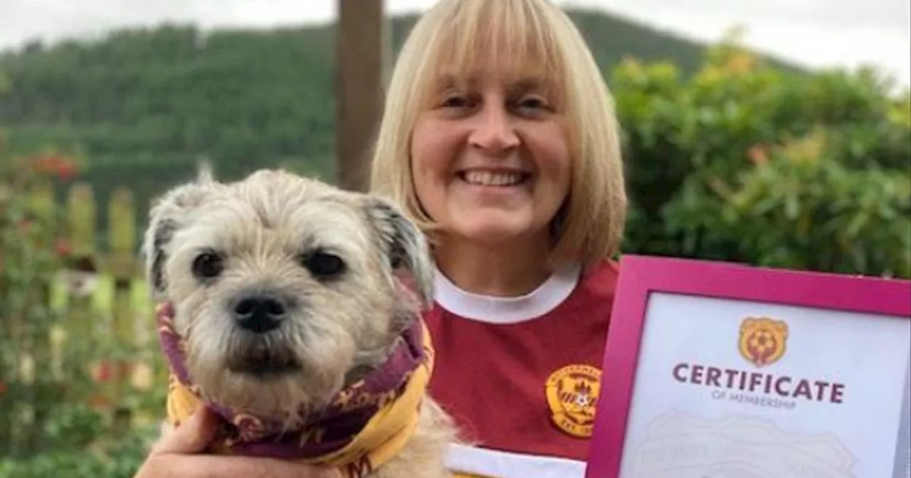 Well Society picks dog to be mascot for Steelwomen's SWPL game on Sunday