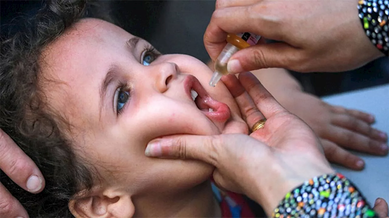 Gazans rush to vaccinate children as new polio drive launches