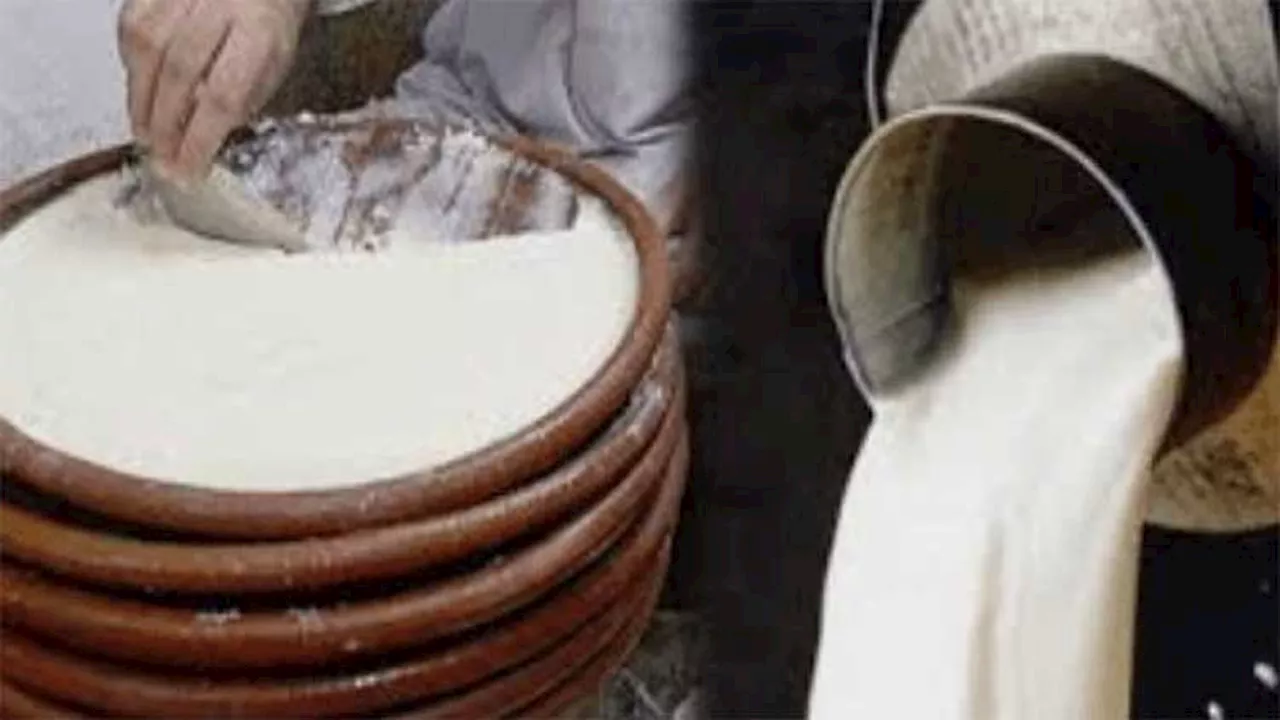 Milk, yogurt prices up by Rs100 per litre, Rs70 per kg, respectively in Peshawar