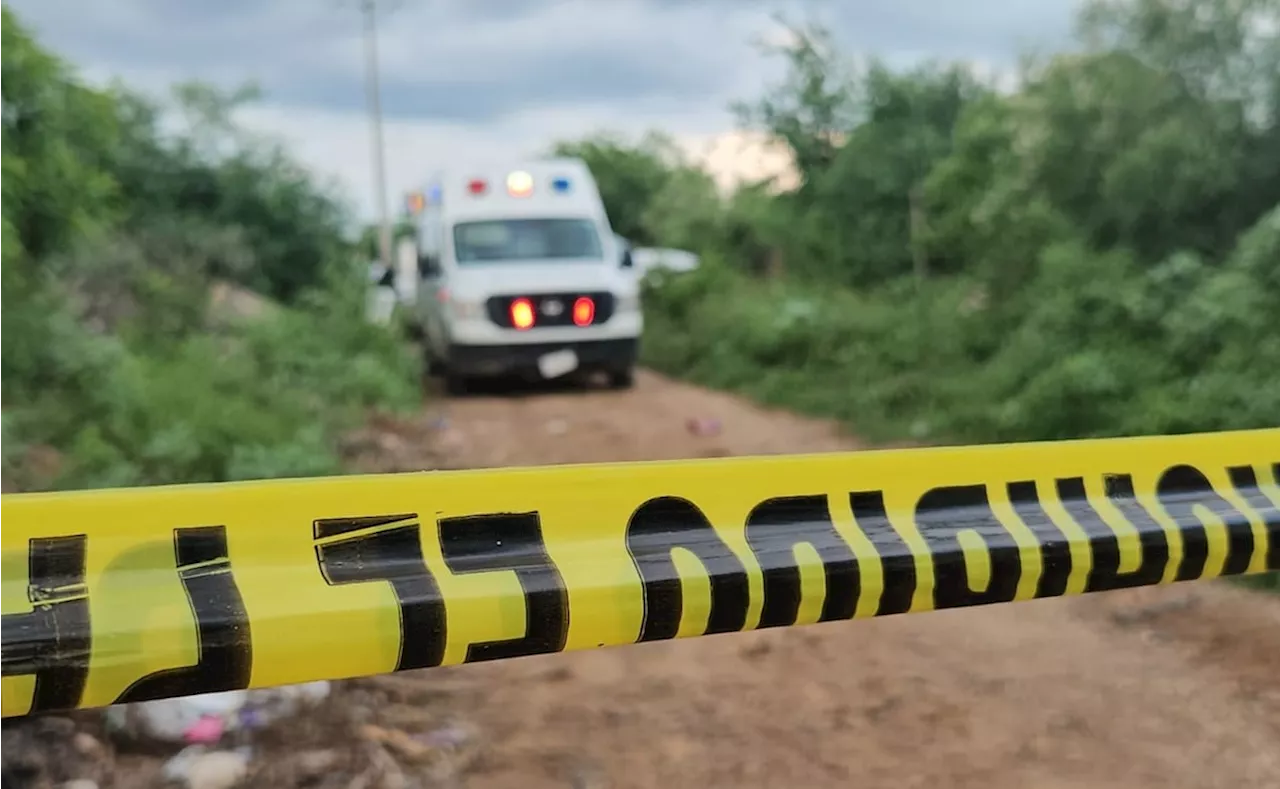 Suman siete cuerpos encontrados en distintas fosas clandestinas de Culiacán, Sinaloa