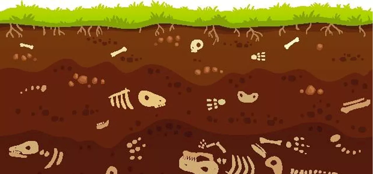 A Biologist Reveals The ‘Last Survivors’ Of 3 Extinct Species—George, Martha, And Benjamin