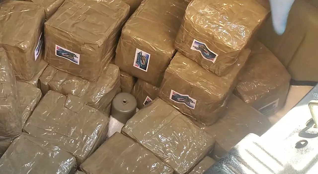 Cocaina, 540 kg sequestrati in Sicilia: valore stimato in oltre 100 milioni di euro