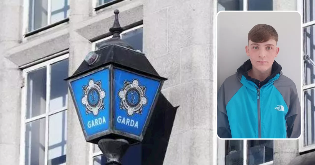 Garda appeal for help tracing missing teen who may have travelled to Cork