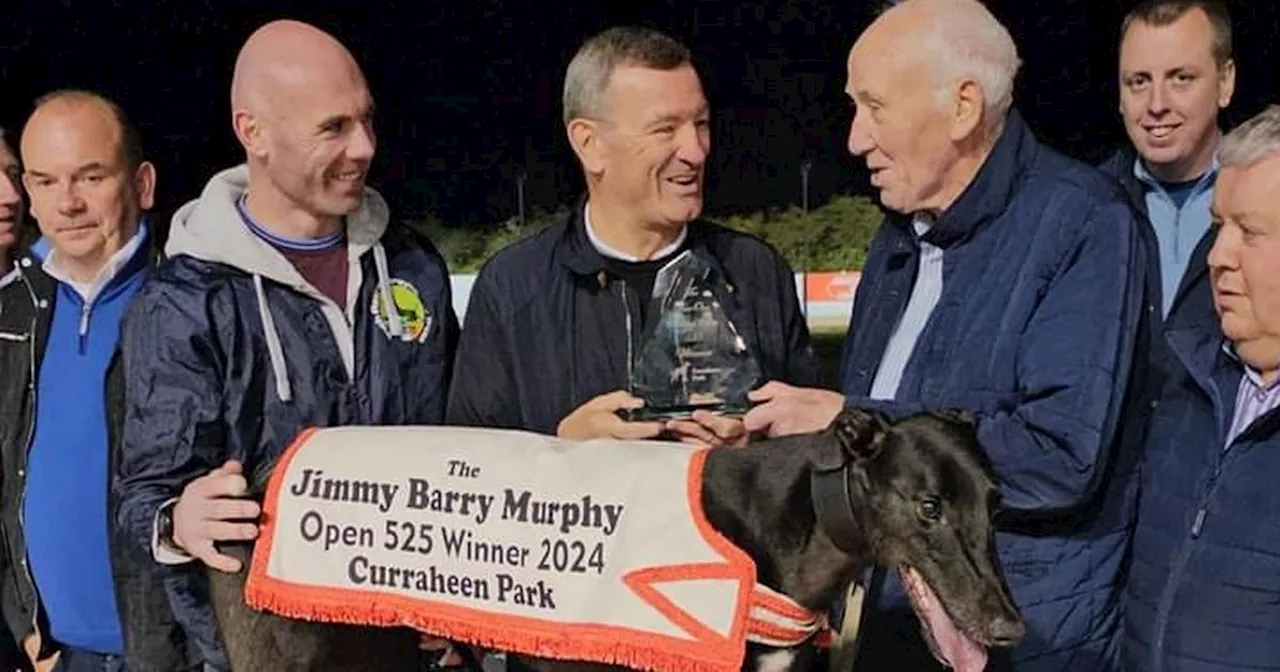 Heats begin for €30,000 prize at Curraheen Park