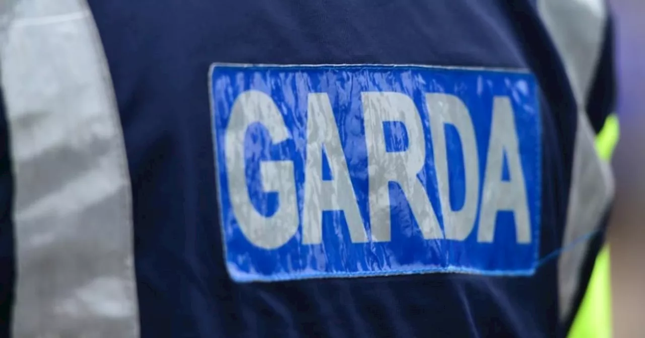 Man (30s) who recently left prison is stabbed in Cork city