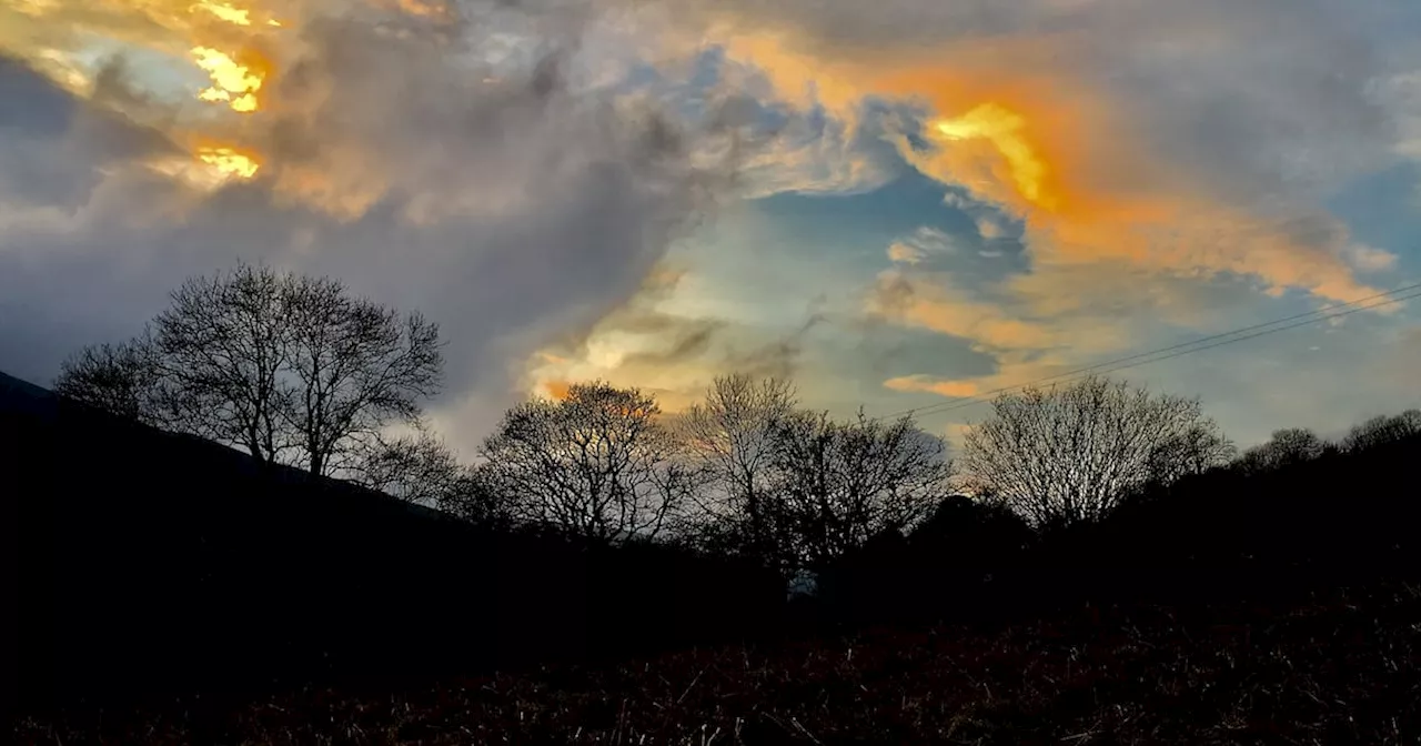 The Shaking Bog: a festival where art and nature meet