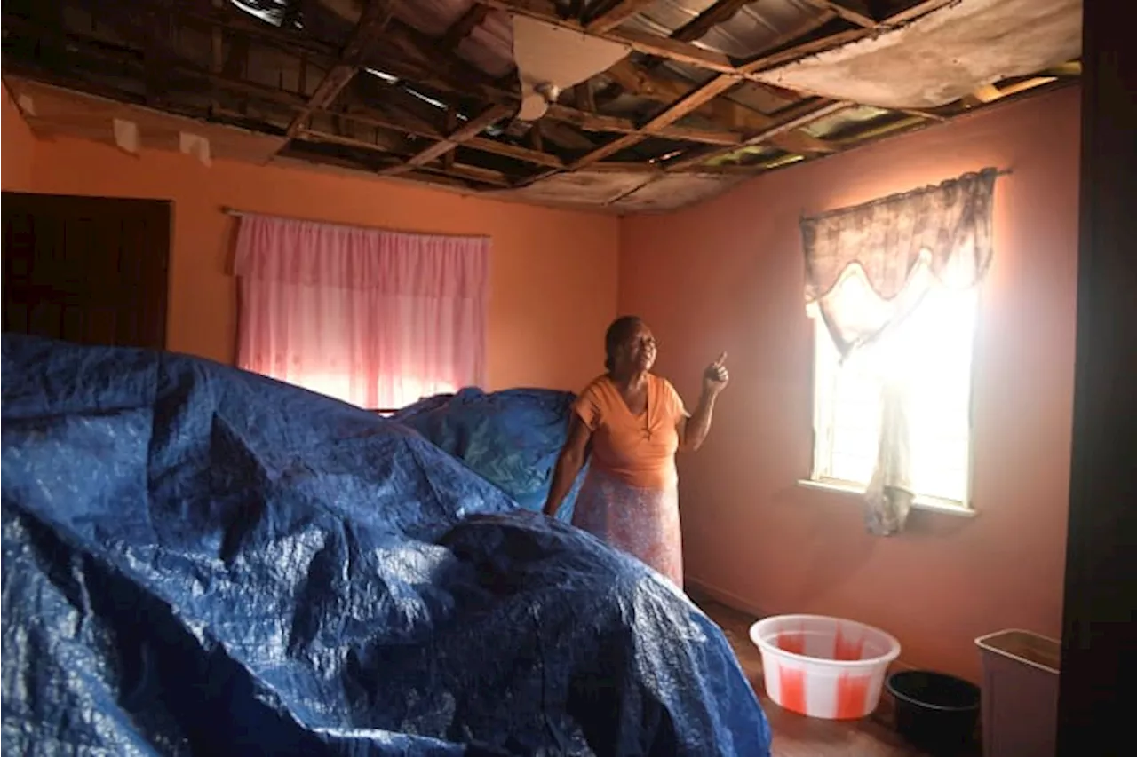 Jamaica's female farmers rebuild after Hurricane Beryl through women-led cash voucher program