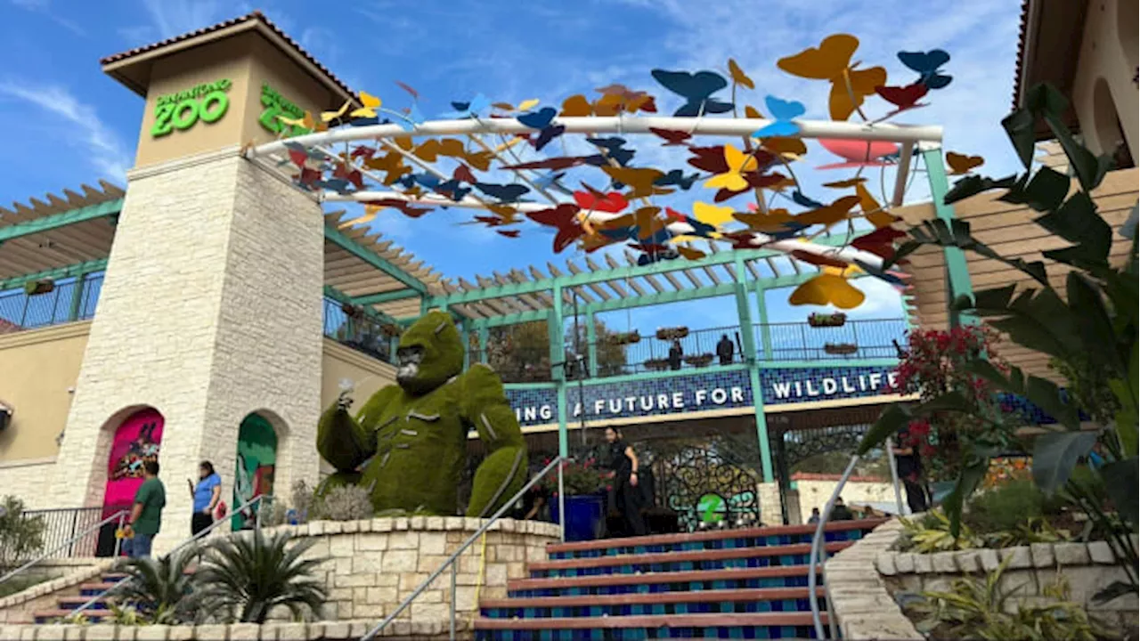 Storm-related flooding this week leaves San Antonio Zoo in a bit of a financial dry spell