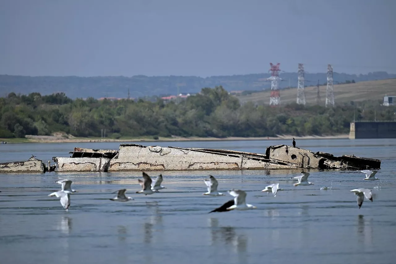 80 ans après l'opération «Danube Elf», la flotte nazie resurgit du Danube