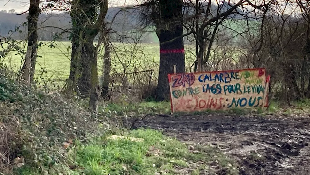 Autoroute A69 : 'Les opérations de déboisement dans le Tarn sont totalement achevées', assure la préfecture