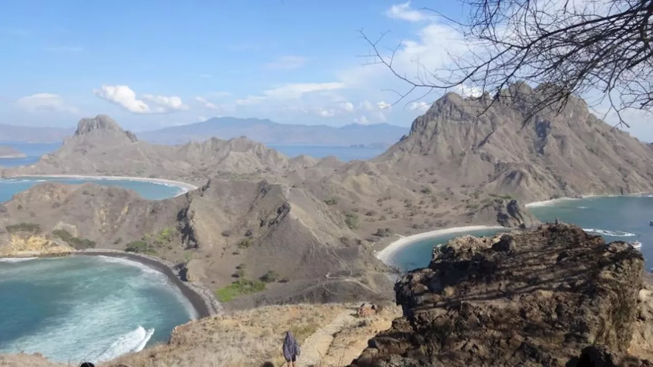 6 Fakta Menarik Gunung Ara, Titik Tertinggi di Pulau Komodo Flores NTT