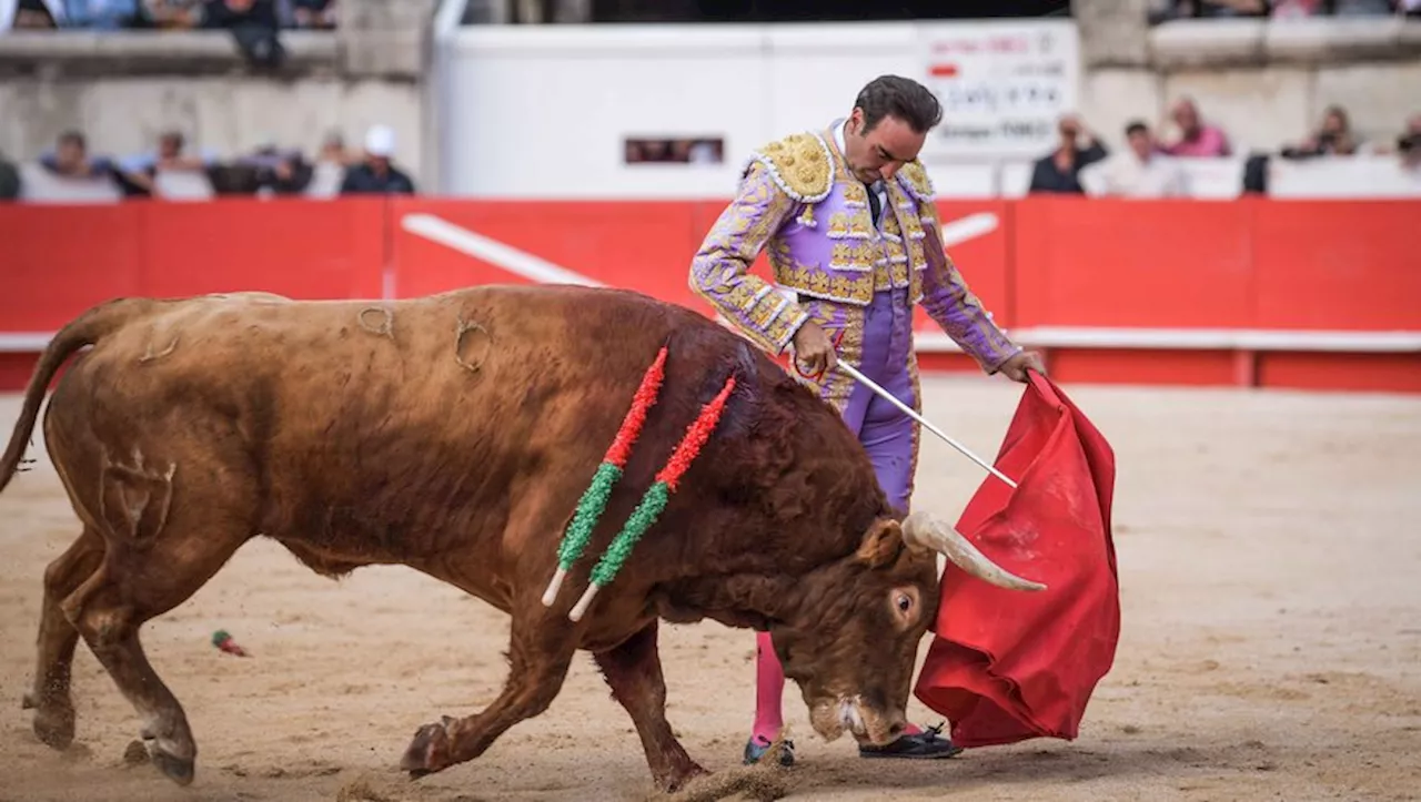 Enrique Ponce fait ses adieux en France pour la feria du Riz d’Arles