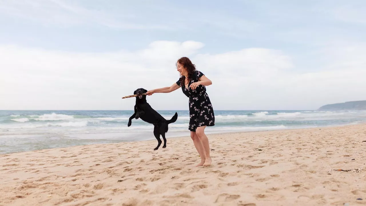 Urlaub mit Hund: „Ohne mein Haustier, ohne mich“