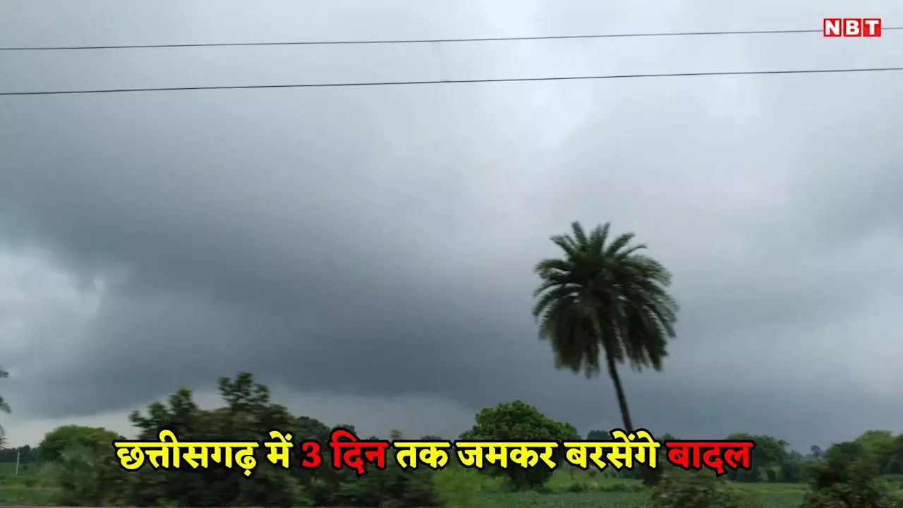 Weather Forecast: छत्तीसगढ़ में अगले 72 घंटे तक इन जिलों में होगी भीषण बारिश, मौसम विभाग का अलर्ट जारी