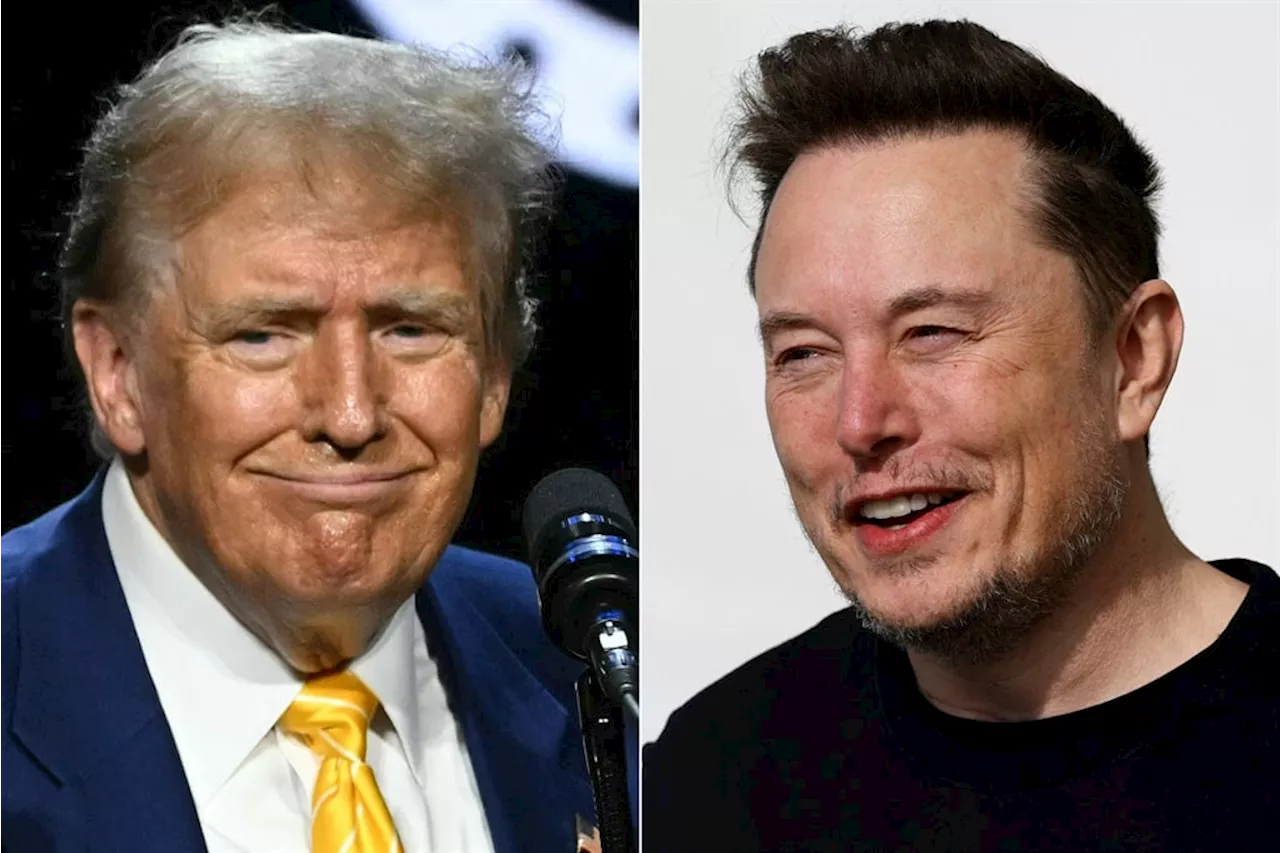 Us Elections: Elon Musk will fix US govt spending in six months, Trump