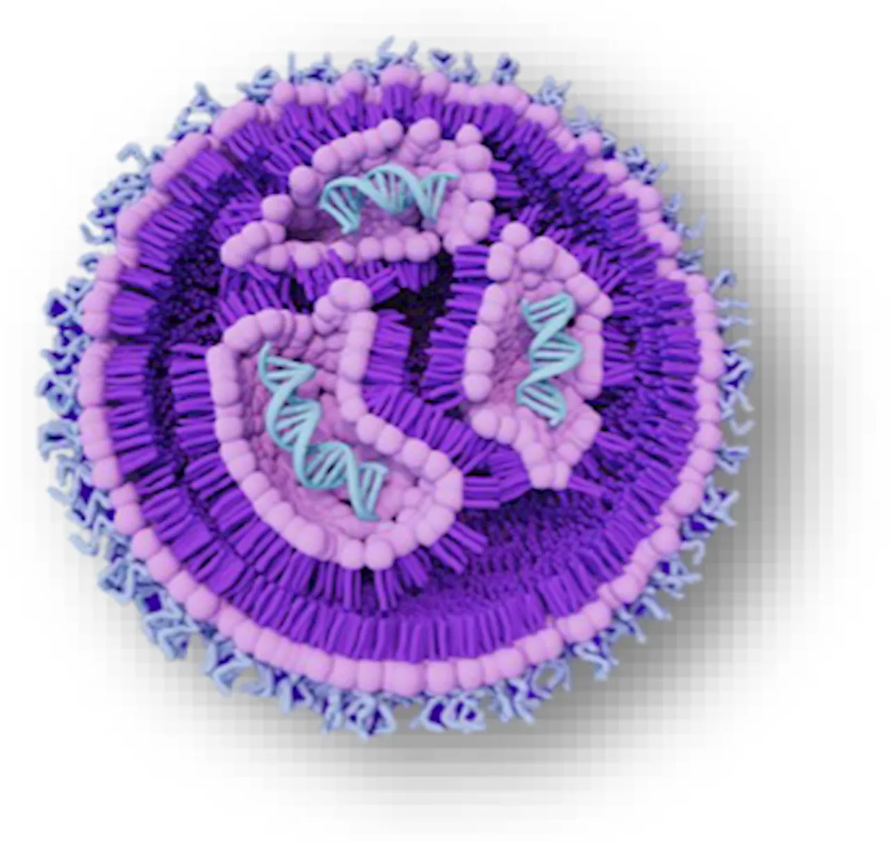 Comprehensive assessment of LNP size, particle concentration, and zeta potential