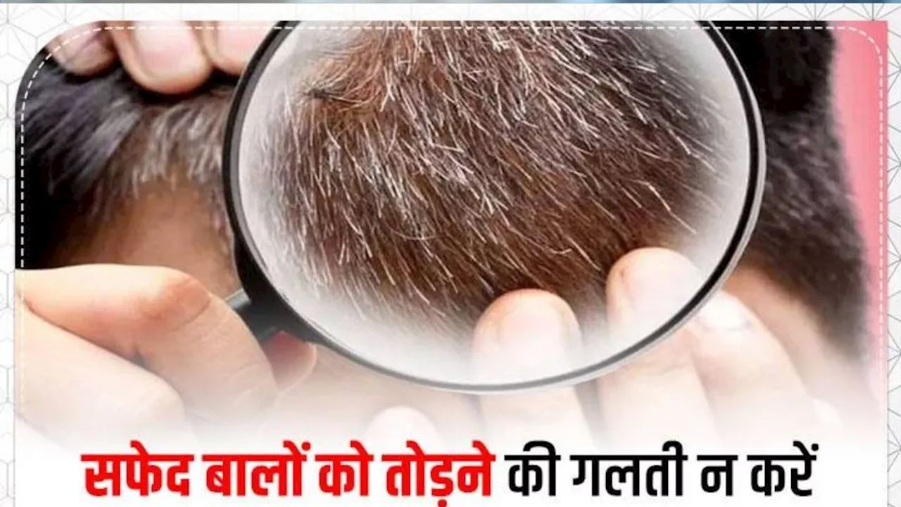 Hair Care: सफेद बालों को भूल से नहीं उखाड़े, जानिए क्यों?