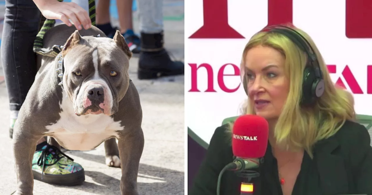 Ciara Kelly: ‘You can’t ban bad owners – you have to ban dangerous dogs’