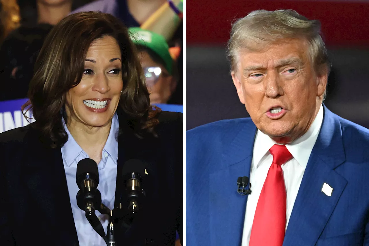 How Donald Trump and Kamala Harris' Child Care and Family Policies Differ