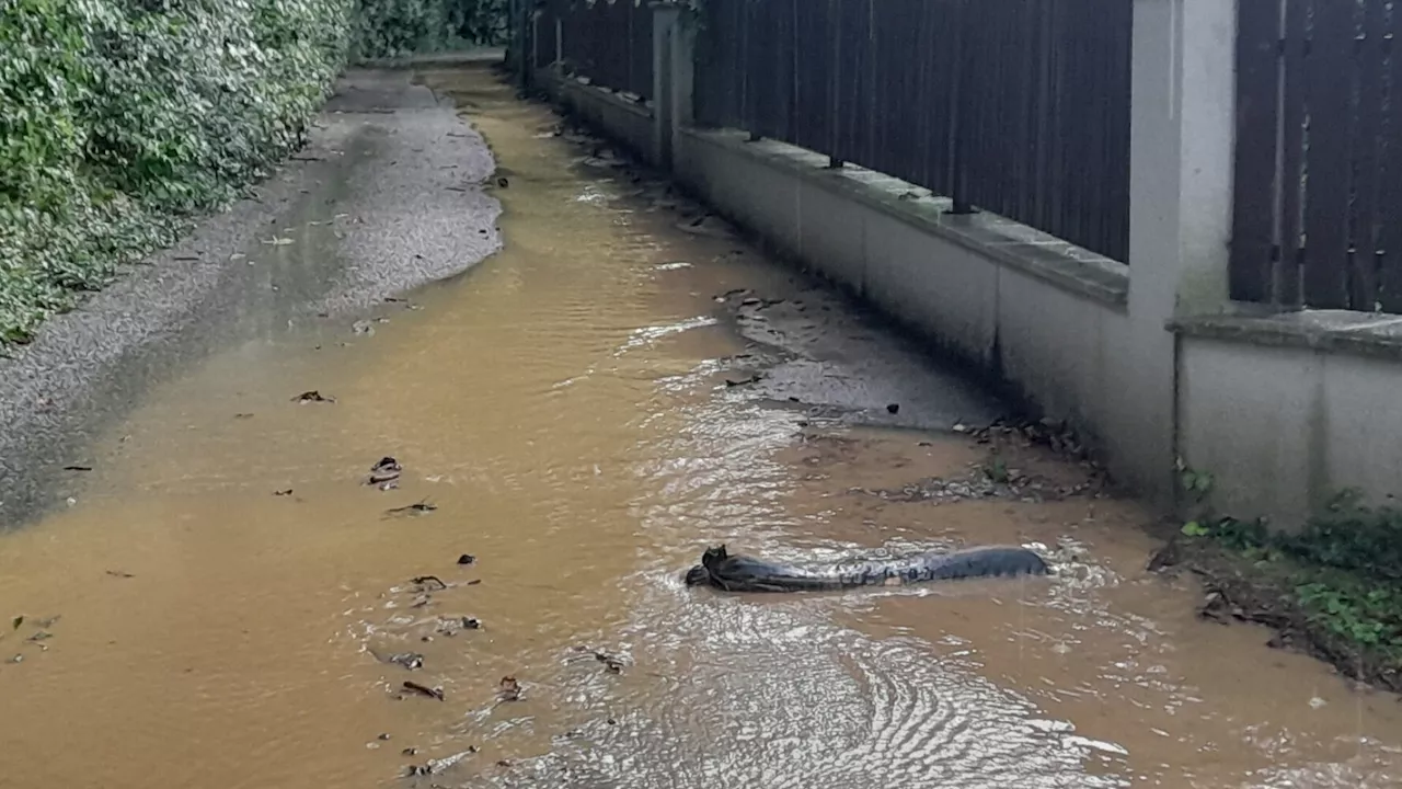 Ärger wegen Überschwemmung in der Harlander Uhlandstraße