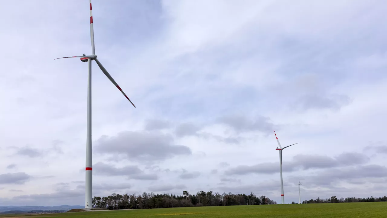 Rechtsextreme Gruppen laden zu Windkraft-Gegner-Treffen in NÖ ein