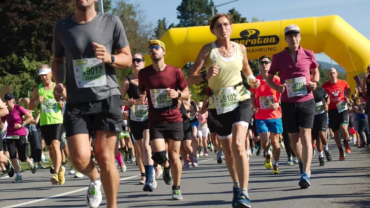 Wachaumarathon 2024: Wichtige Informationen für Besucher und Begleiter