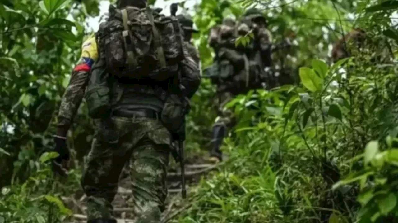 Ocho disidentes de la Segunda Marquetalia fueron abatidos en Argelia, Cauca