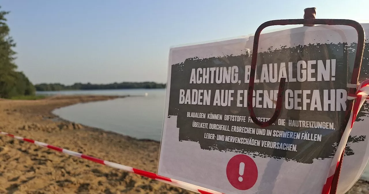 Blaualgen im Lippesee: Wo kann man im Kreis Paderborn noch schwimmen gehen?