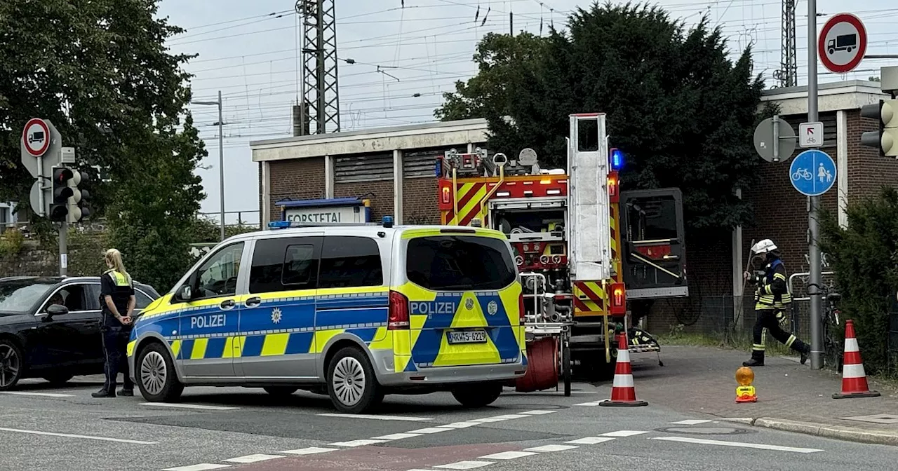 Vogel fliegt in Hochspannungsleitung: Zugverkehr in Bielefeld lahmgelegt