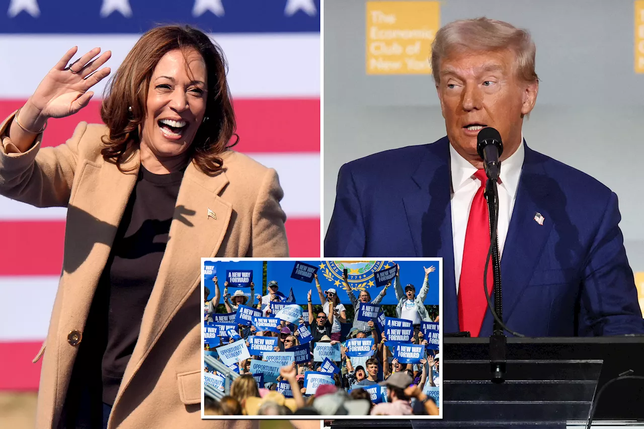 Harris team blows past $360M in August fundraising haul, more than doubling Trump